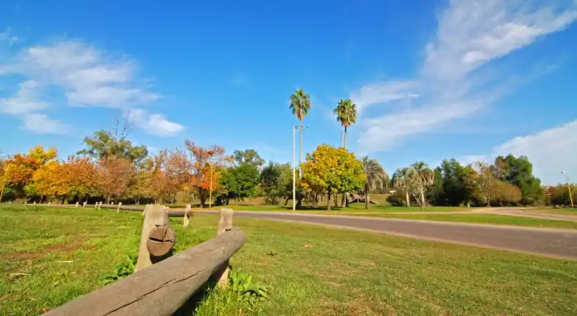 Reforestarán con árboles nativos el Parque Unzué y Pueblo Belgrano