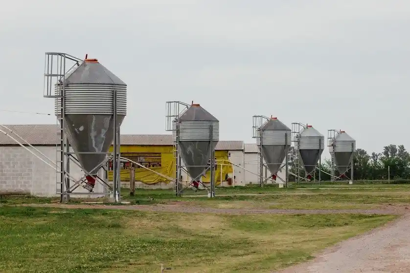 Pilar Pitón (Los Tres Palos): ”La carne de cerdo a nivel mundial es la más consumida”