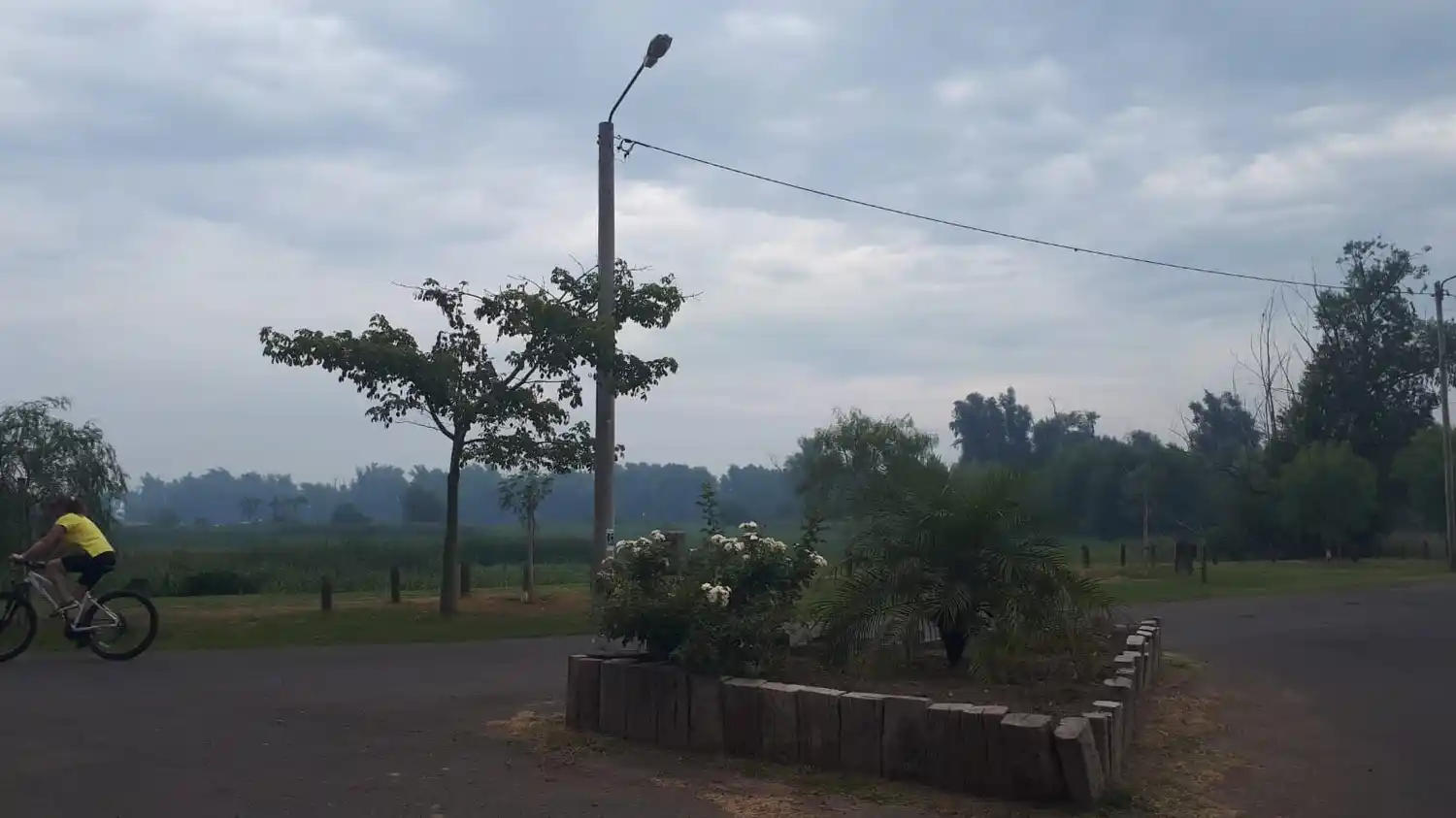 Ecocidio: llegan brigadistas para combatir los nuevos focos de incendio en islas