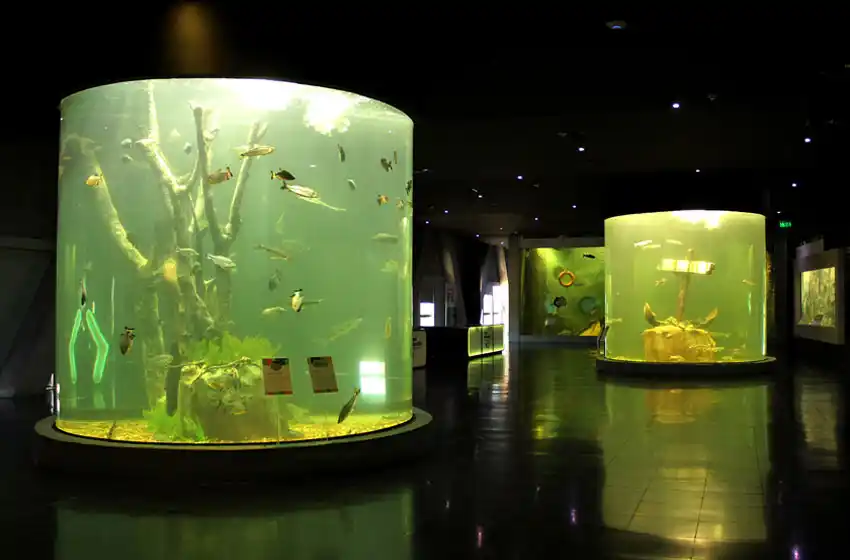 Vacaciones en Rosario: miles de visitantes disfrutan el Acuario del Río Paraná