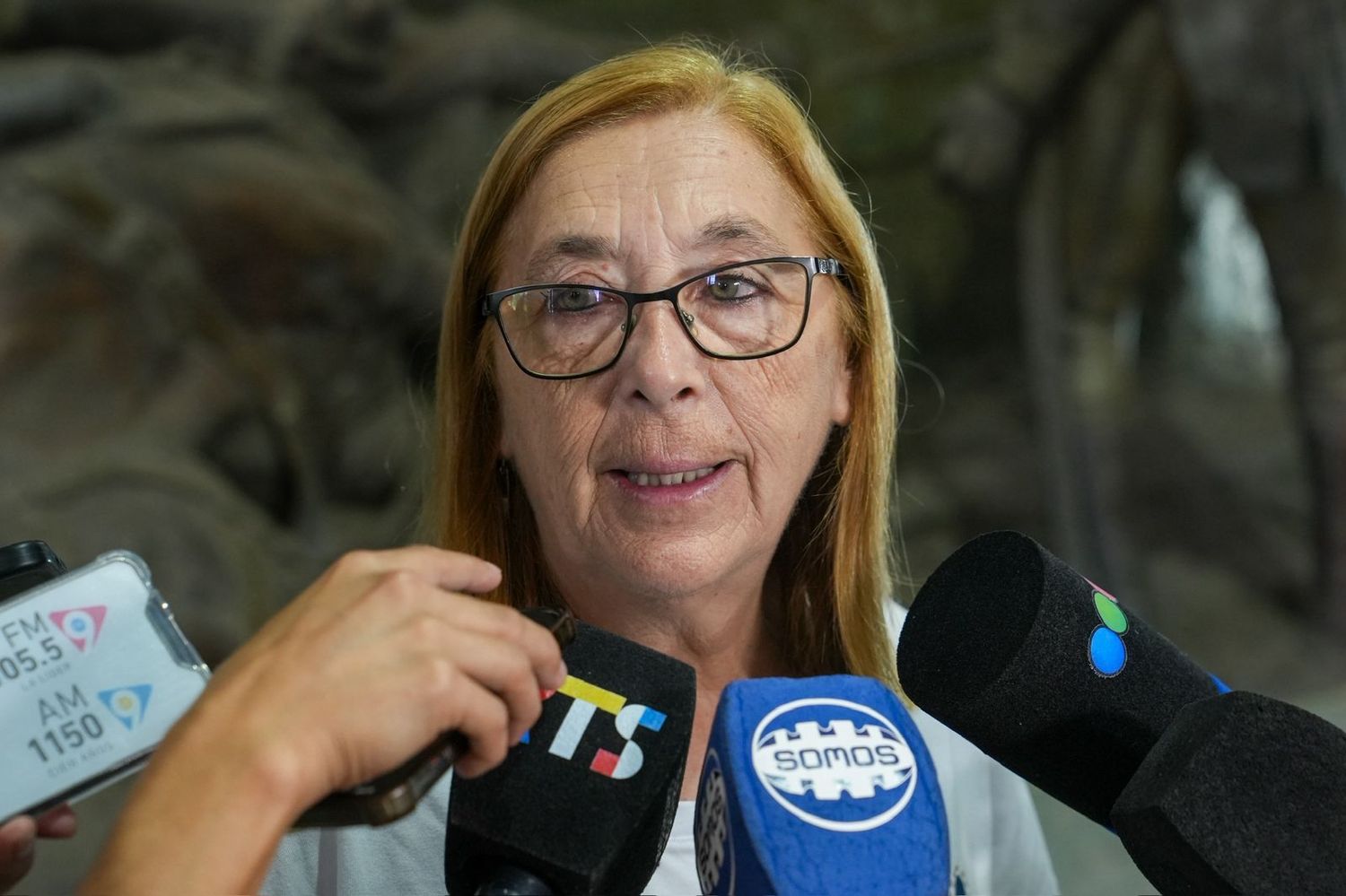 La directora del RUAGA, Adriana Bonelli