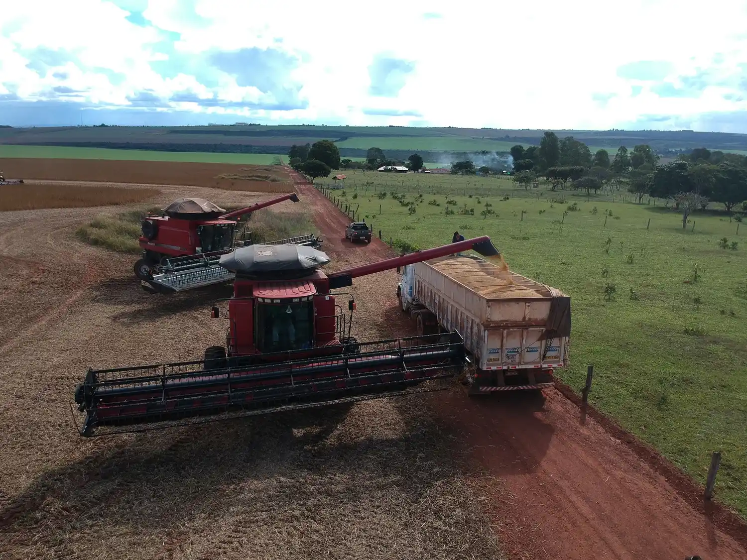 El Gobierno simplificó un registro clave para el campo y lo hizo gratuito