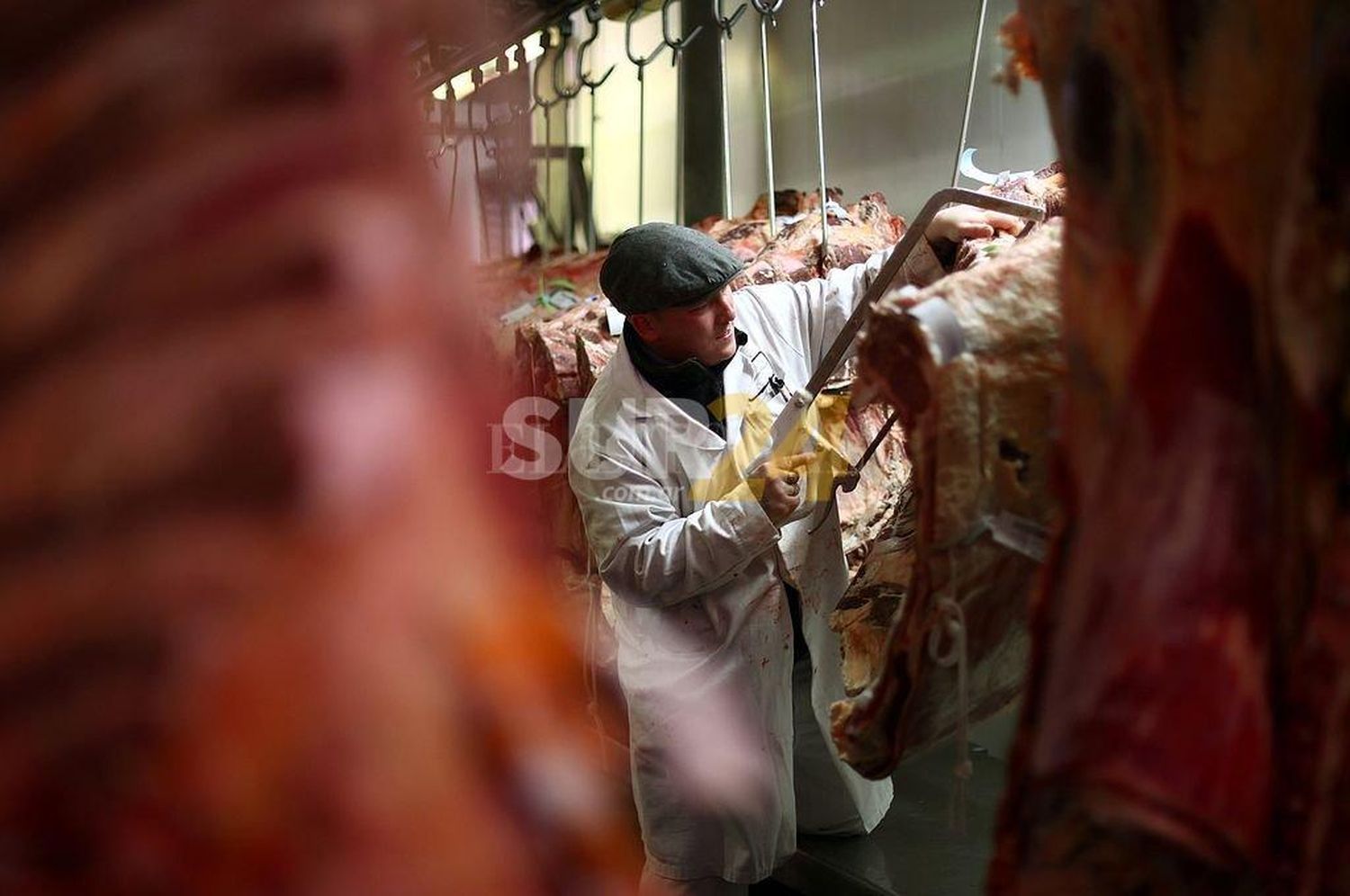 Restricciones a las exportaciones de carne terminarán a fin de año