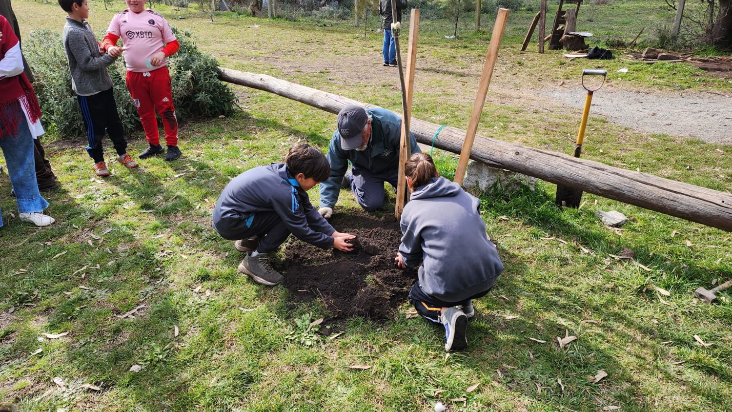 Semana del arbol - 2