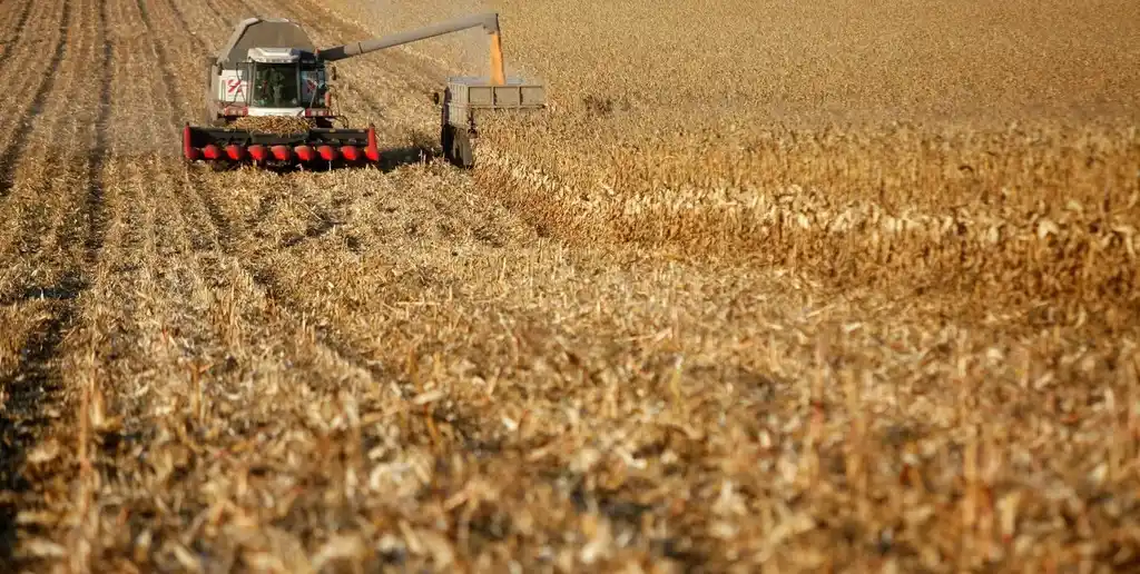 Entre marzo y abril, los embarques de maíz alcanzan niveles sin precedentes.