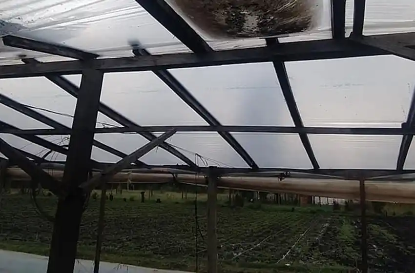 El último temporal arrasó con campos de pequeños productores y piden una solución del Municipio