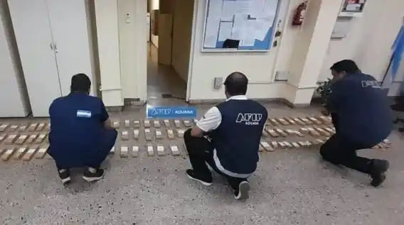 La Aduana incautó 70 kilos de drogas y Michel destacó los logros del operativo