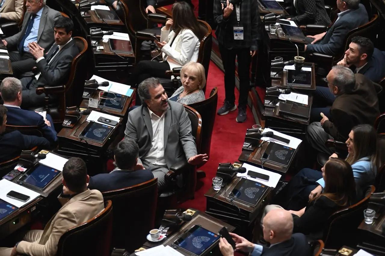 Escándalo en el bloque el PRO en Diputados por los vetos de Milei.
