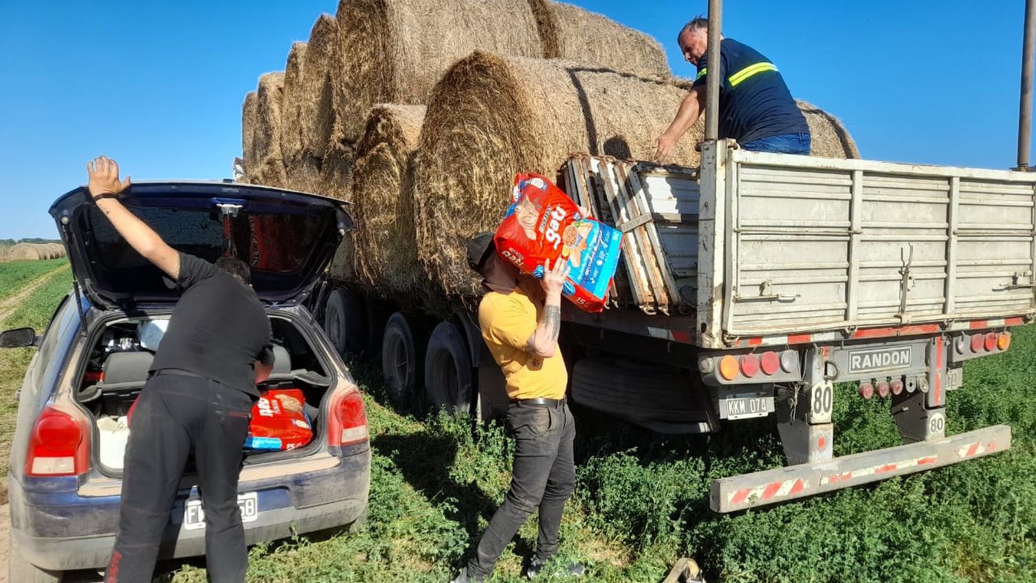 También afalfa y fardos. Solidaridad que viajó desde San Francisco en el momento más crítico.