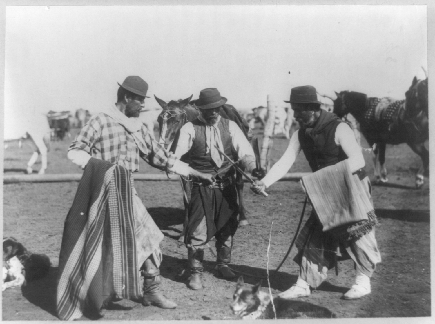 6 de diciembre: Día Nacional del Gaucho