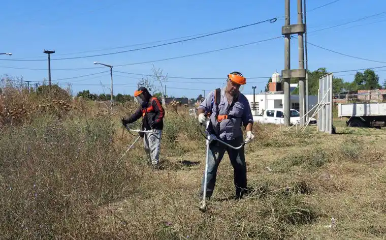 Fueron intimados los dueños de los terrenos que está desmalezando la Municipalidad