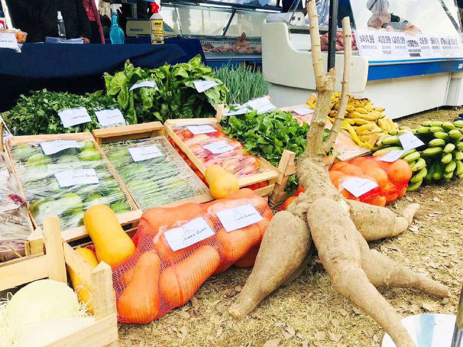 Soberanía Alimentaria comercializó 700 
kilos de productos de frutas y verduras