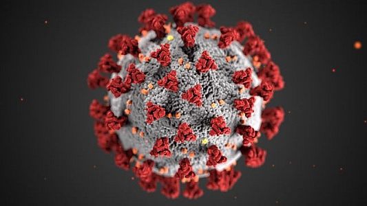 El virus Sars-CoV-2 podría autodestruirse