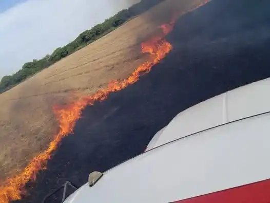Incendio forestal en Santa Clara de Saguier: Bomberos controlaron un foco que afectó cuatro hectáreas