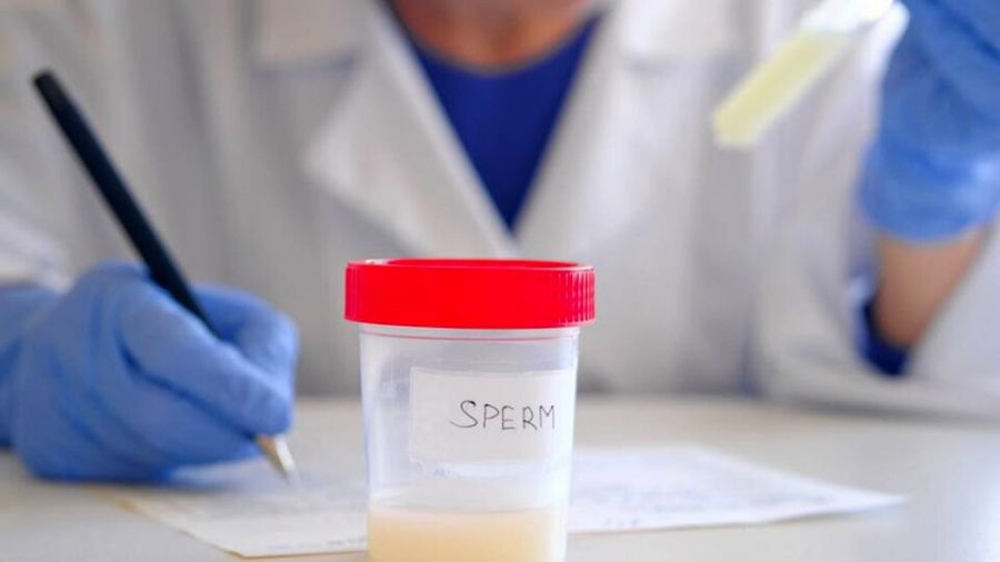 Inédito: en Francia, las personas concebidas mediante donación podrán conocer su origen 