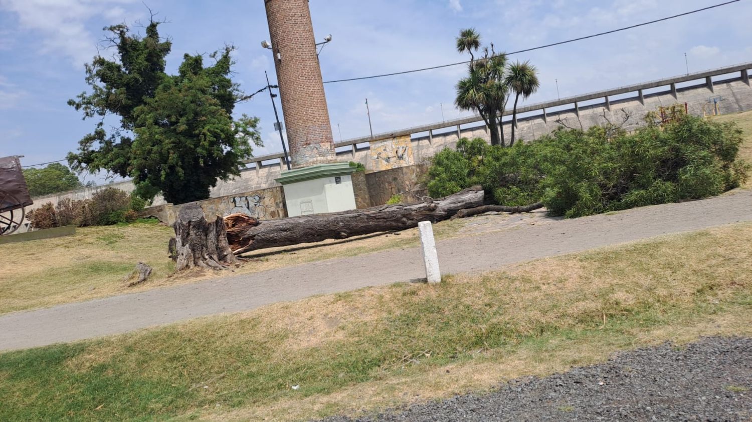 Se voló un techo, hubo caídas de árboles y cartelerías y cortes de luz como consecuencia del viento