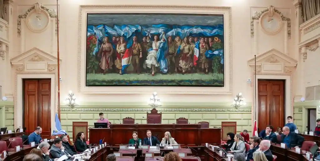 La exposición se realizó ante convencionales, en la legislatura de Santa Fe