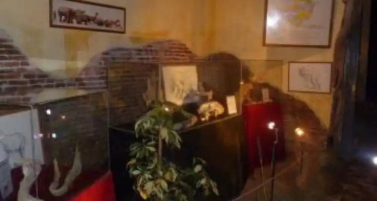 Inauguraron una nueva sala del Museo Paleontológico