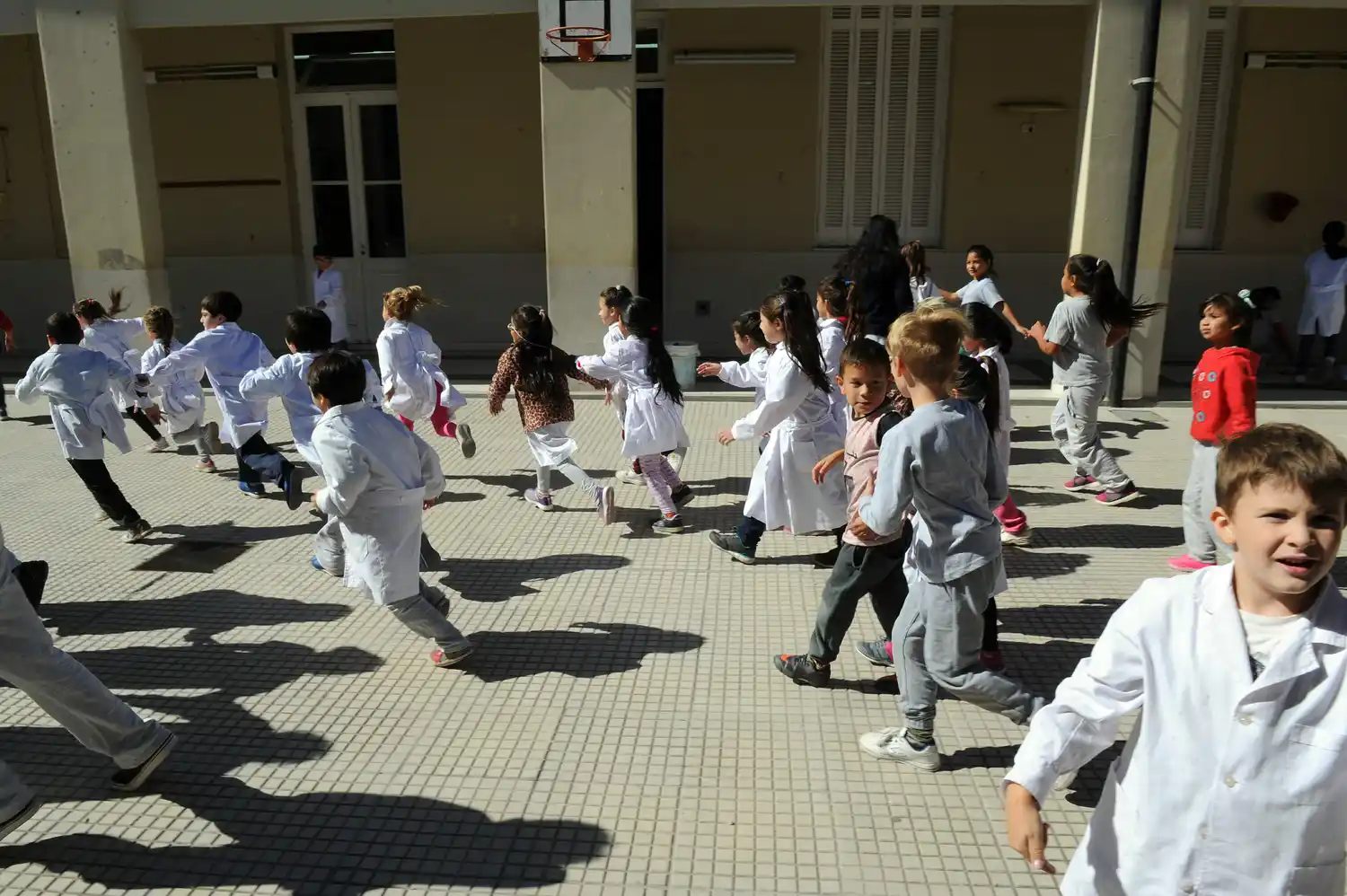 Desde el gobierno expresaron que se «garantiza el derecho a aprender»