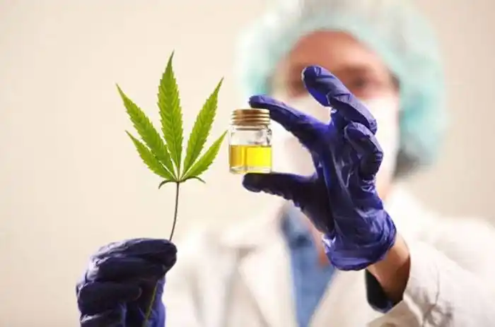 Nuevos acuerdos para para capacitar al personal de salud en terapias con uso de cannabis