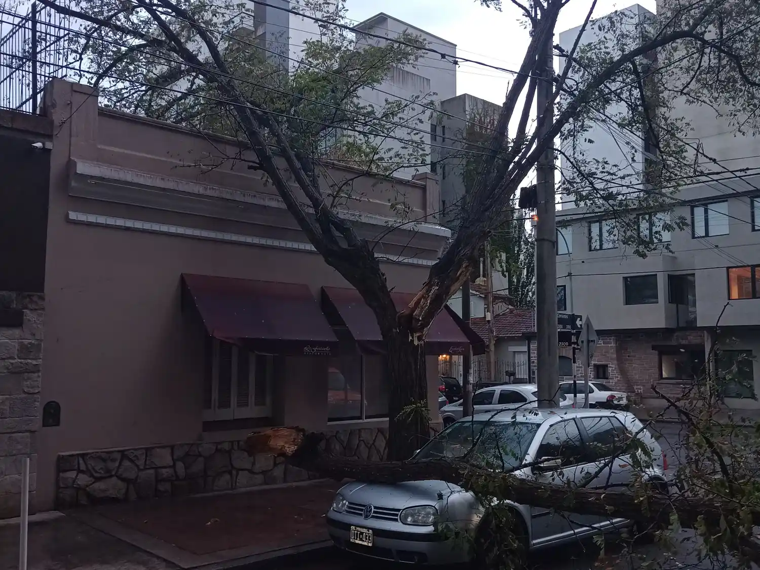 En Corrientes y Rawson se quebró un árbol, un árbol que estaba en mal estado se llenó de agua y se quebró  cayo sobre un restaurante y un auto.
