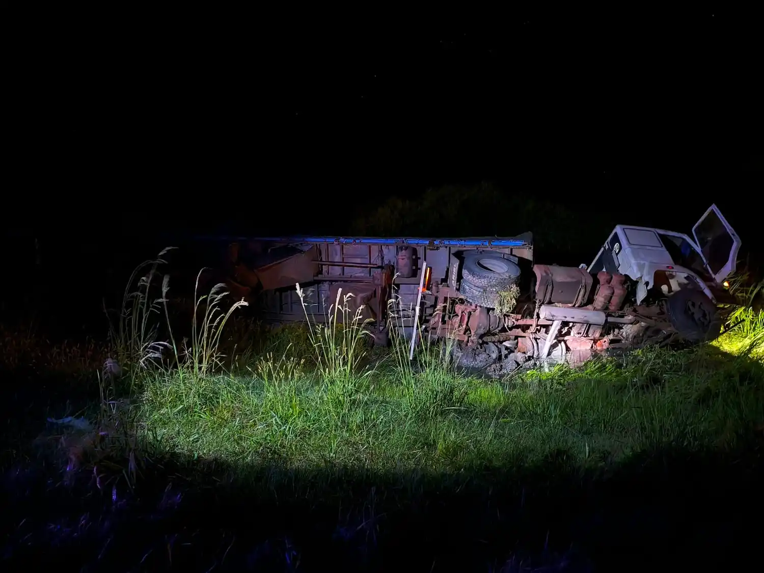 Volcó un camión cargado con placas de madera en el cantero central de la Ruta Nº 14
