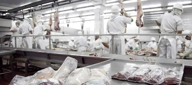 Afirman que la exportación de carne podría crecer más de siete veces en 10 años