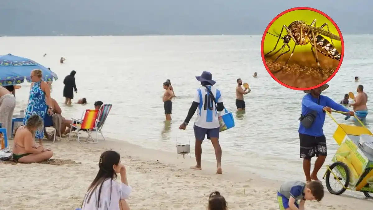 Piden a quienes regresan de Brasil que estén atentos a los síntomas de dengue