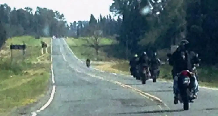 Secuestran 14 motos por falta de documentación