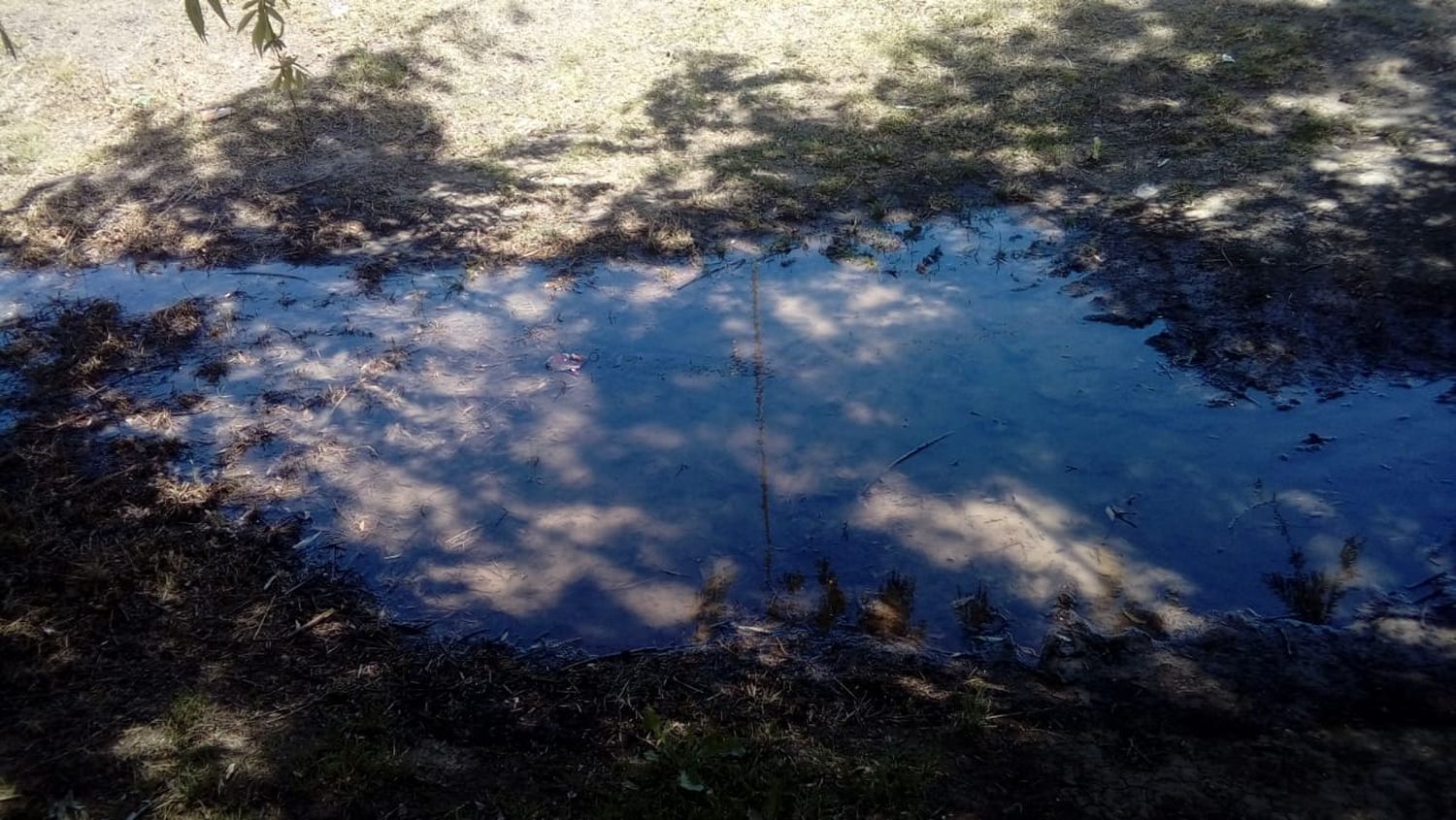 Cloacas tapadas en Río Tala