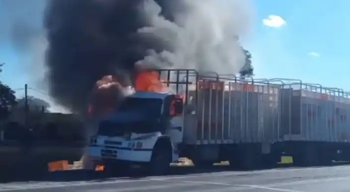 Se incendió un camión en Ruta 12