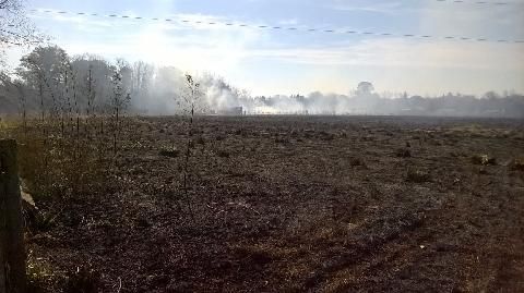 Importante incendio de pastizales en el predio de la Universidad de Luján