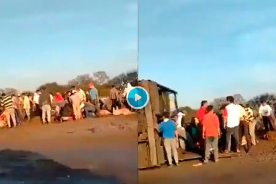 IMÁGENES IMPACTANTES | Volcó un camión con vacas y los vecinos las faenaron en plena Ruta 11