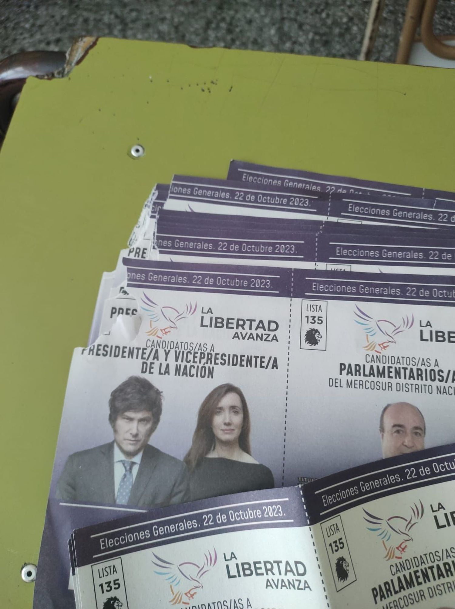 destrozos milei
