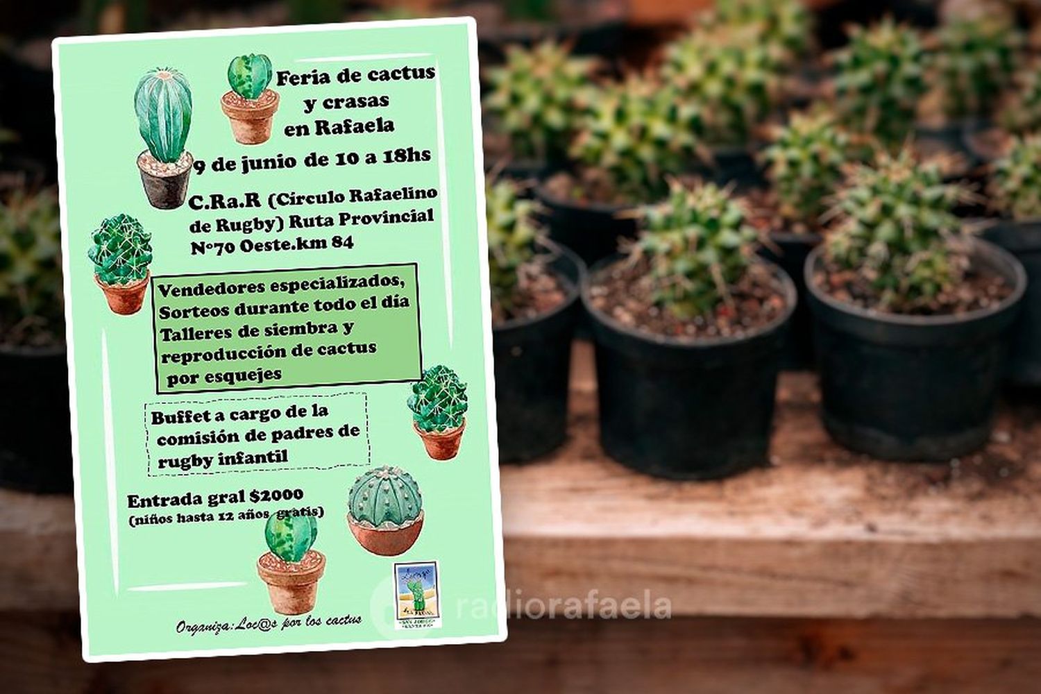 Todo listo para la feria de cactus y crasas en Rafaela: “Lo hacemos por pasión, por locura”