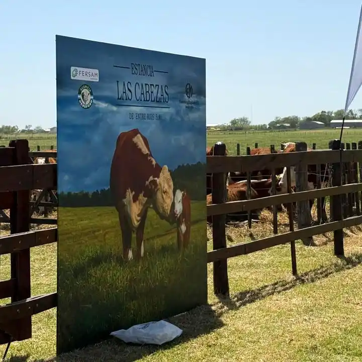 Colombo y Magliano: 86 años de trayectoria y un fuerte crecimiento en el sur entrerriano