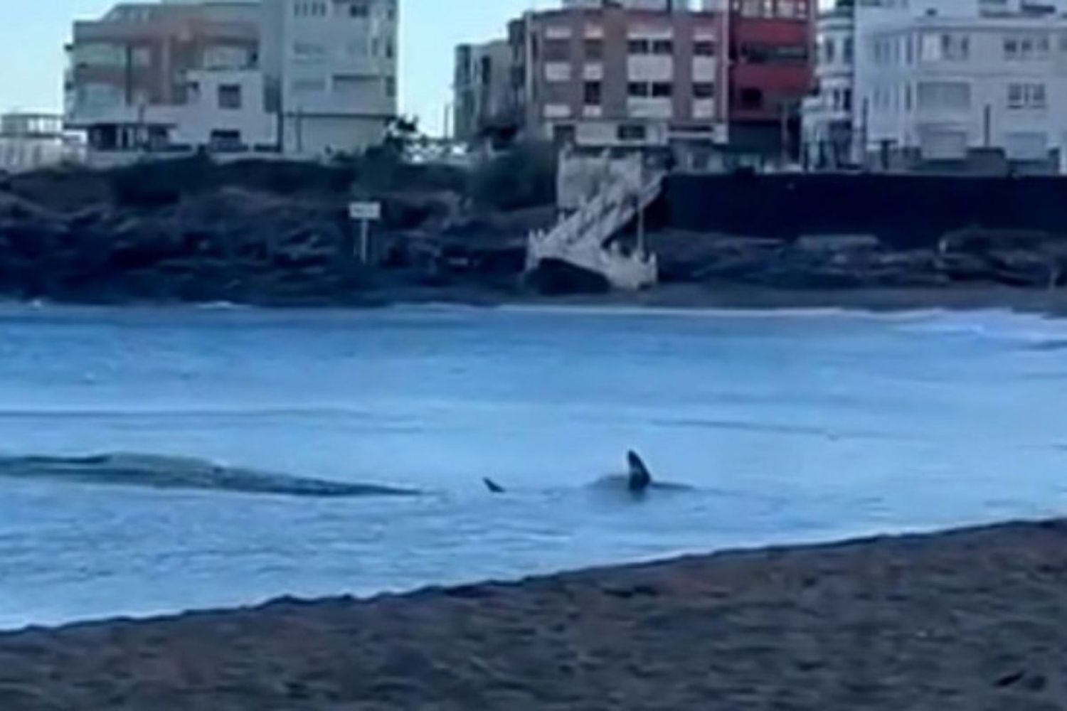 Se tomaron todas las precauciones necesarias para garantizar la seguridad de los bañistas.