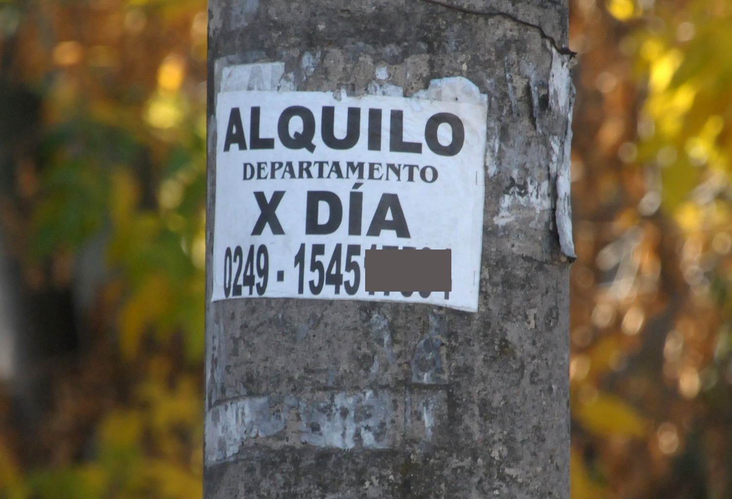 Los alquileres plantean una oferta temporal en ascenso y renovaciones de contrato que doblan su valor