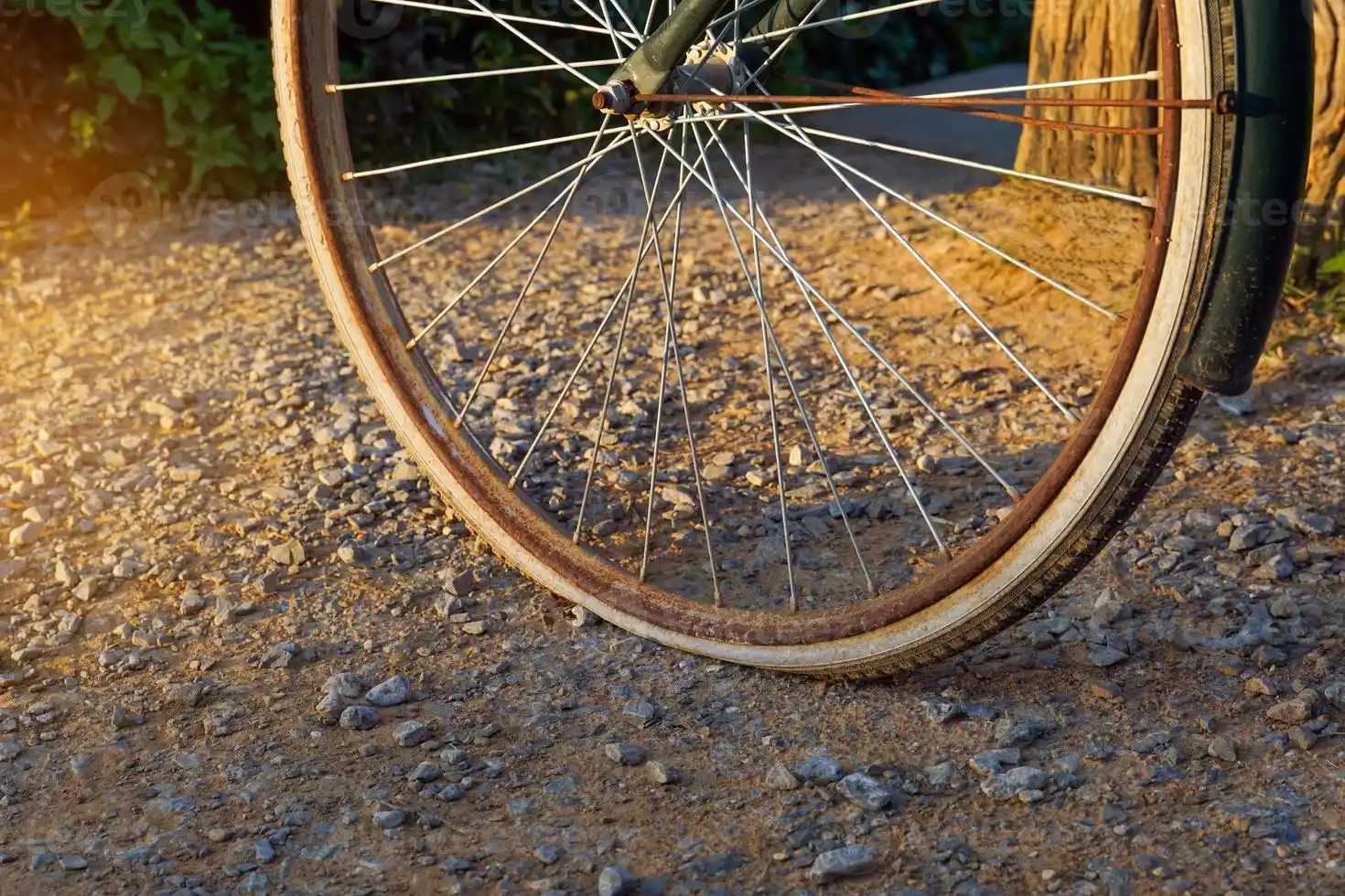 El día de la bicicleta