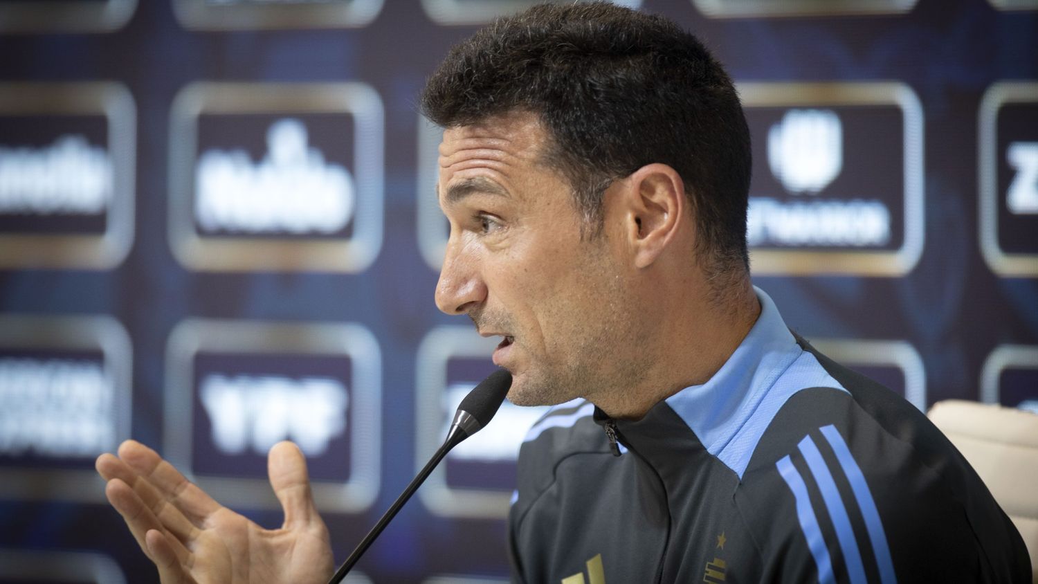La selección, entre continuidad y renovación