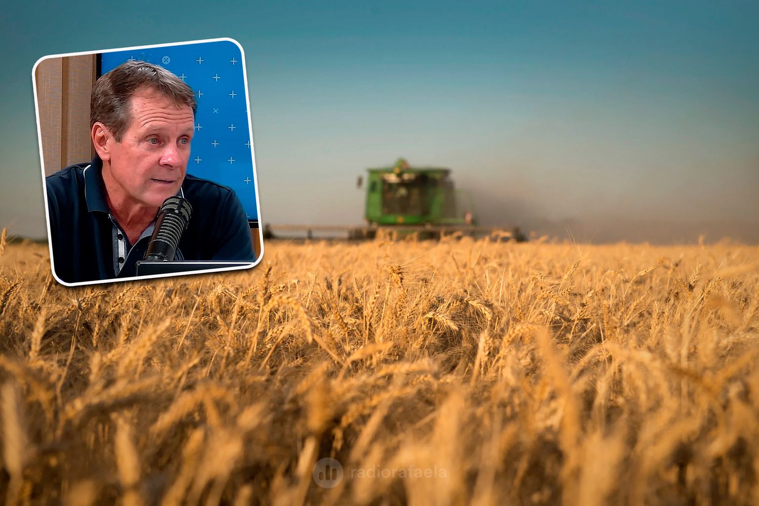 El clima acompañó y los cultivos responden: buenas perspectivas para la campaña agrícola en la región