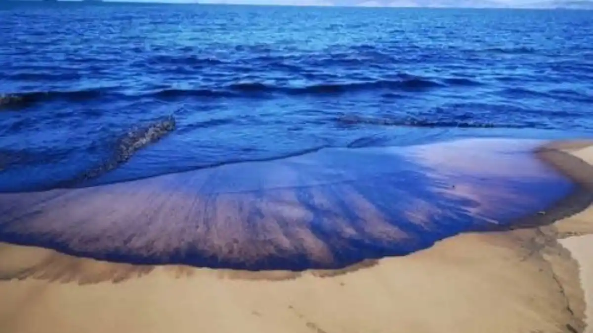 ¡NO ES EL MAR NEGRO! Alcaldía de Lechería recomienda no visitar sus playas
