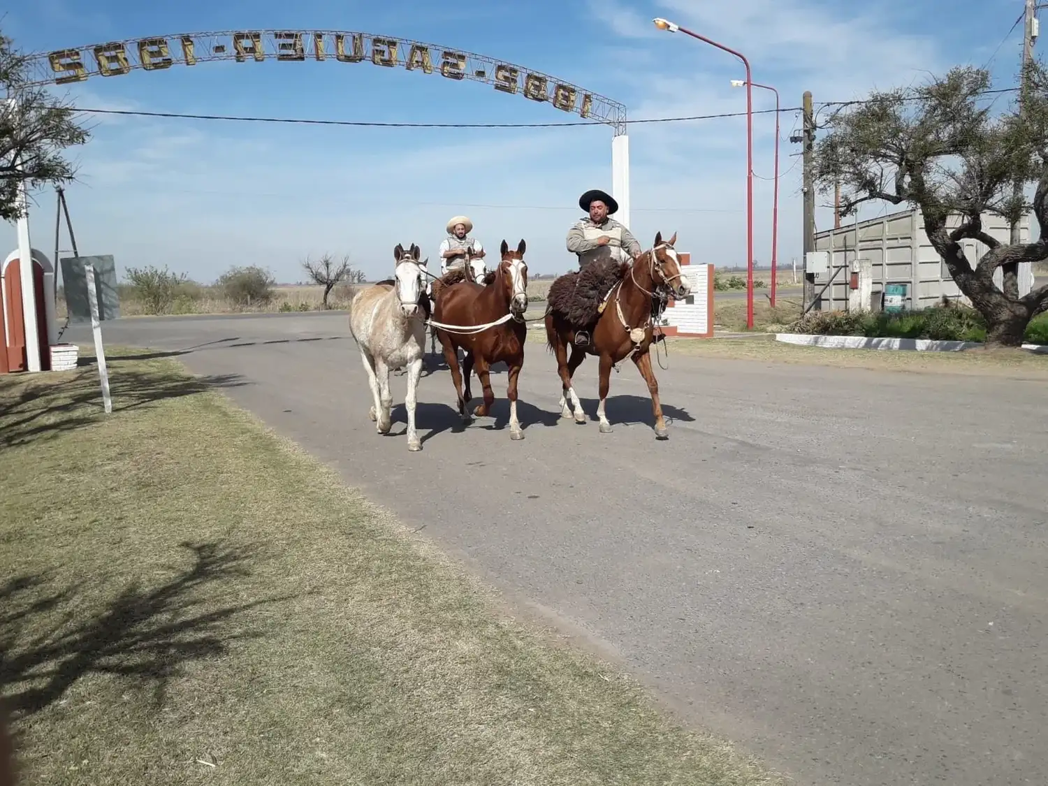 Peregrinación Gaucha - 2