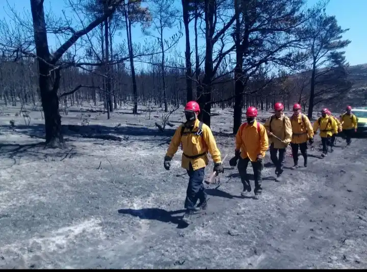 Imágenes impactantes del fuego en las sierras