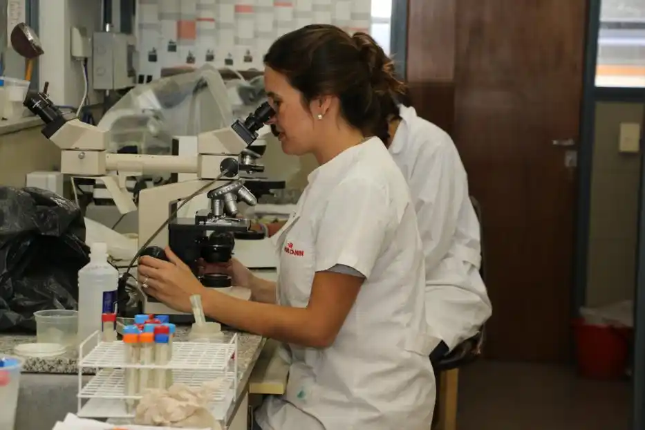 La Facultad de Veterinarias se nutre de investigación de muy buen nivel
