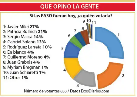 Javier Milei y Patricia Bullrich, los más votados  