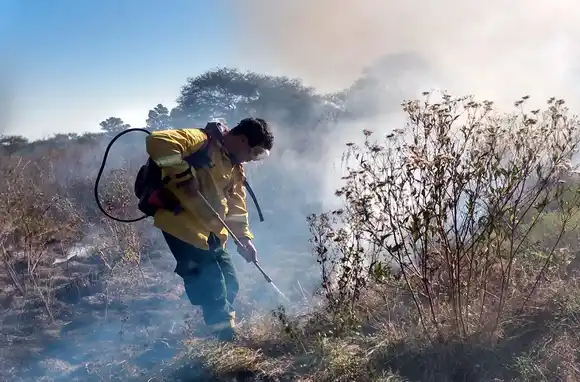 Incendios en las islas: dan a conocer imágenes impactantes de brigadistas apagando el fuego