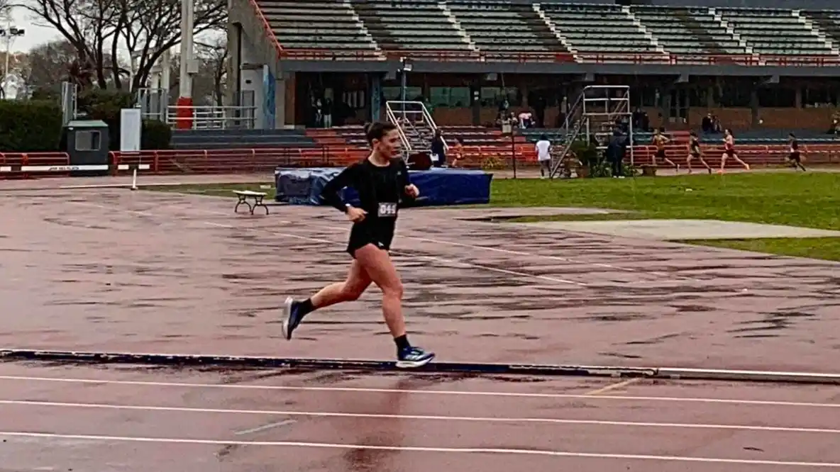 Verina Vezzi