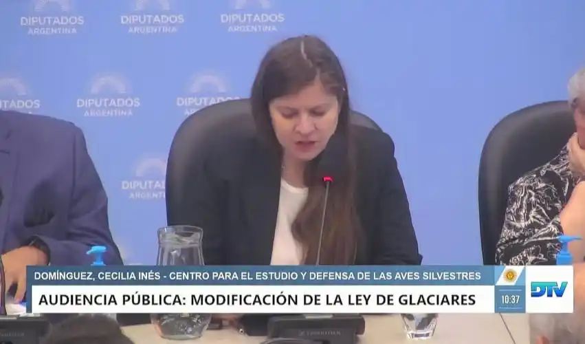 Una ONG entrerriana expuso en la audiencia pública por la reforma a la Ley de Glaciares