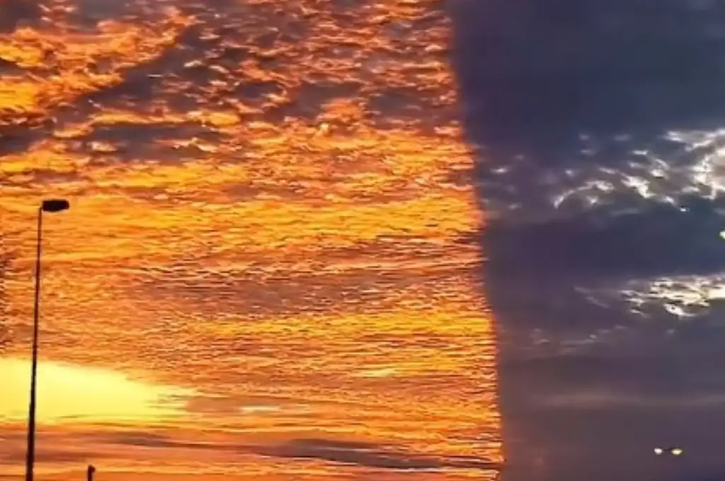 Cielo Florida